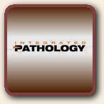 Click to Visit Integrated Pathology