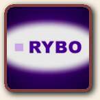Click to Visit RYBO Medical, Inc.