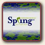Click to Visit Spring Insurance Group